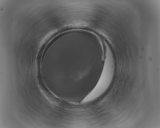 X0000076420678200610061205
