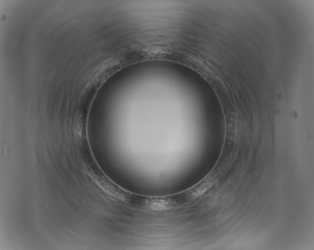 X0000076420710200610061205