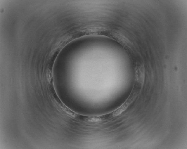 X0000076420718200610061204