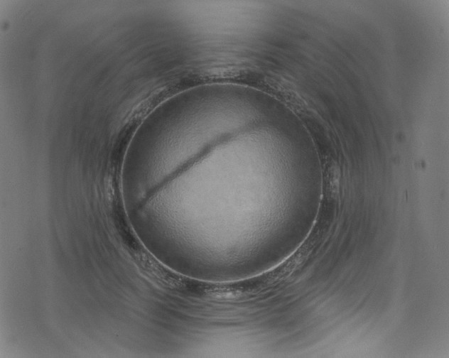 X0000076420746200610061204