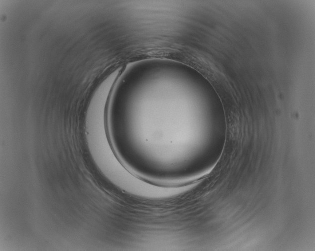 X0000076420748200610061204