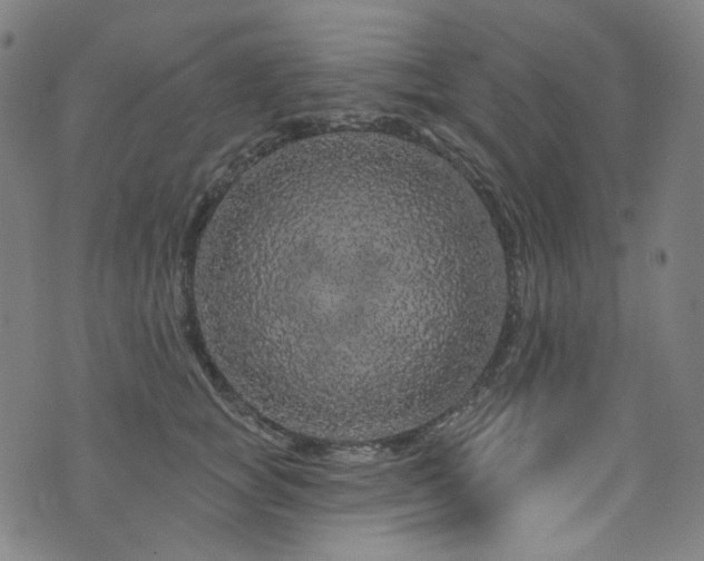 X0000076420757200610061204