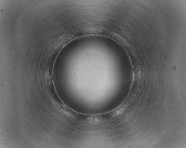 X0000076420764200610061204
