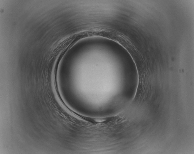 X0000076420773200610061204
