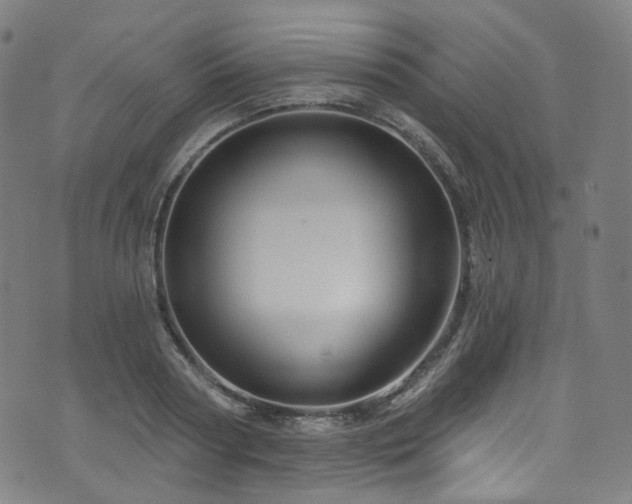 X0000076420794200610061203