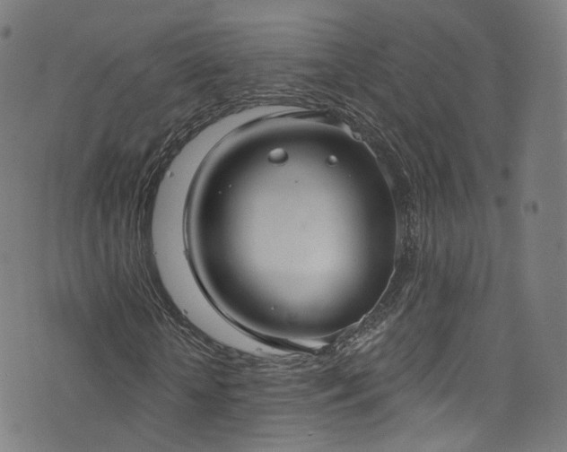 X0000076420818200610061202