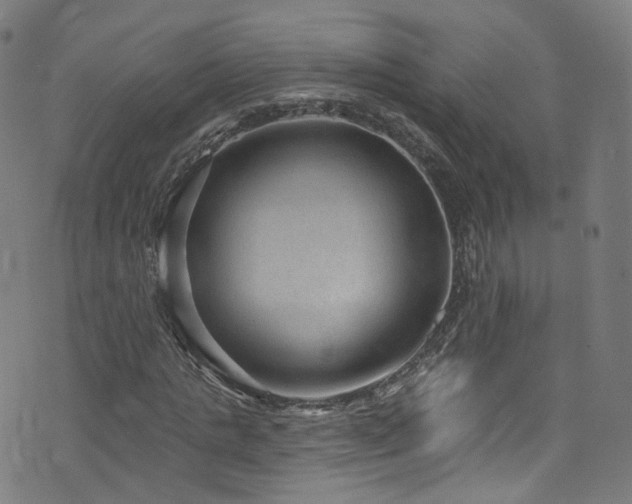 X0000076420821200610061202