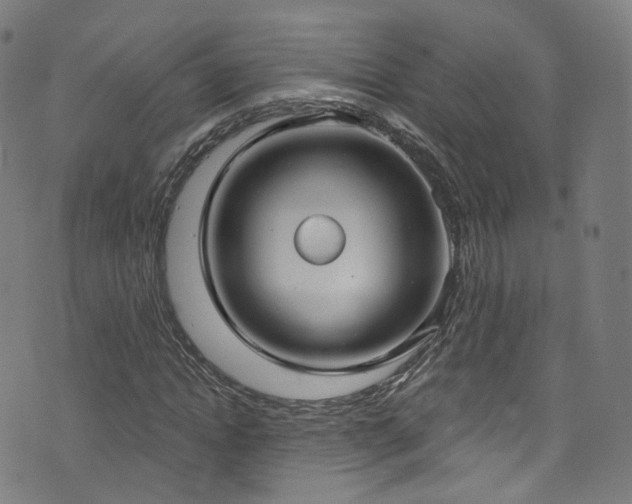 X0000076420822200610061202