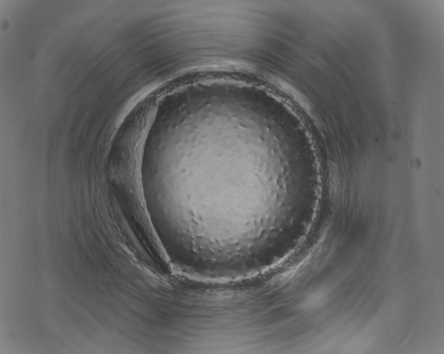 X0000076420829200610061202