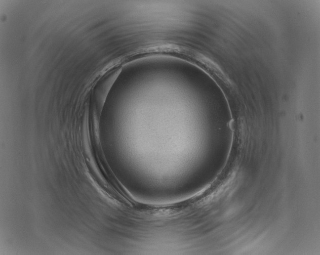 X0000076420841200610061202