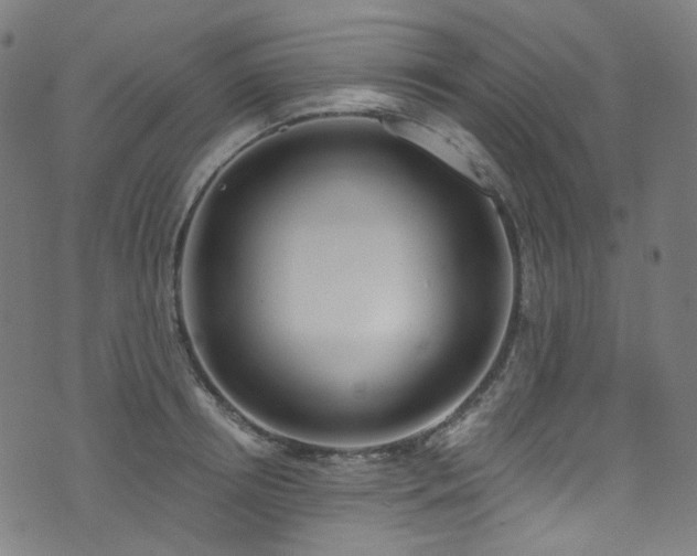 X0000076420850200610061203