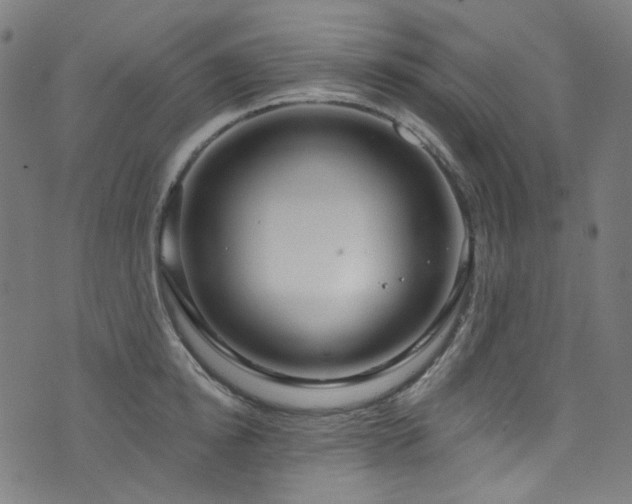 X0000076420854200610061203