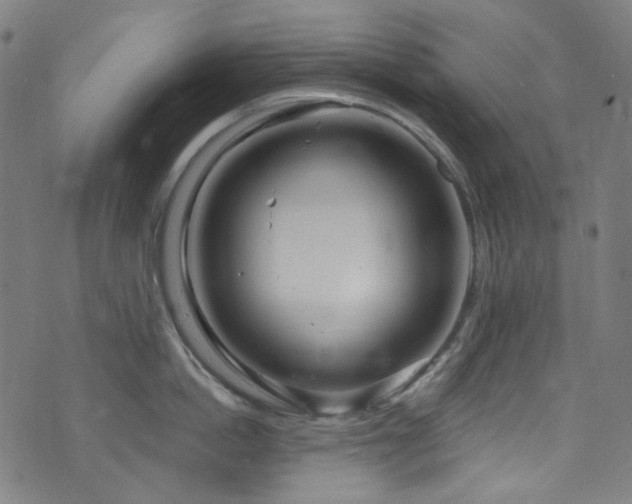 X0000076420862200610061203