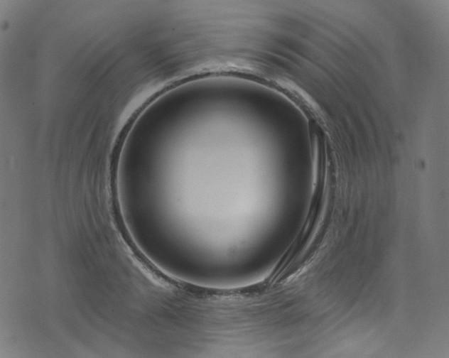 X0000076420894200610061202