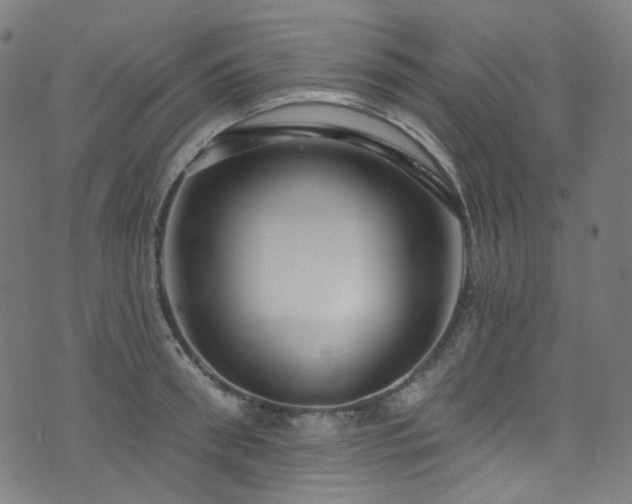 X0000076420898200610061201