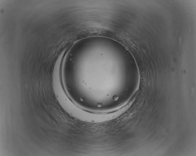 X0000076420916200610061201