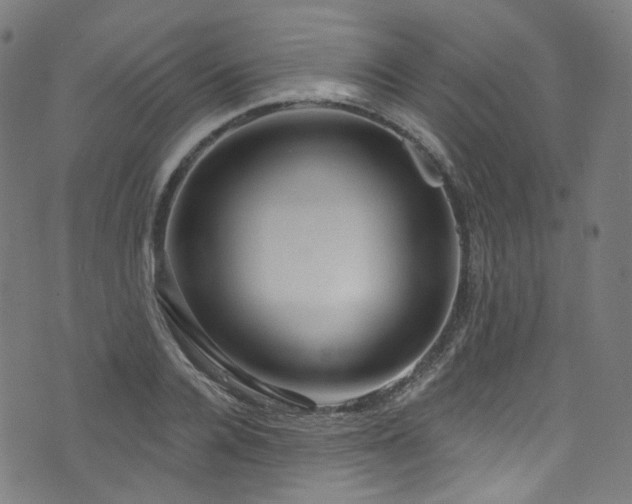 X0000076420936200610061201
