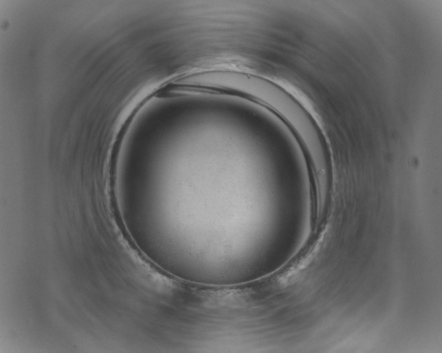 X0000076420949200610061201