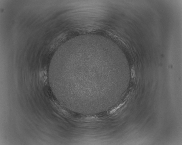 X0000076421011200610061159