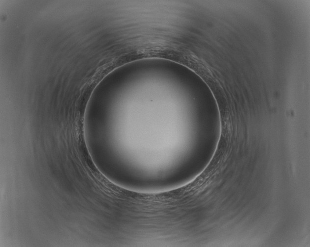 X0000076421012200610061159