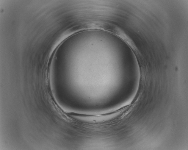 X0000076421052200610061200