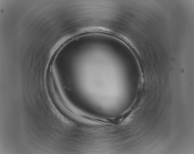 X0000076421082200610061158