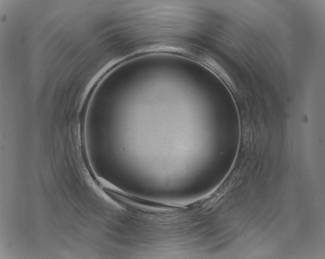X0000076421092200610061158