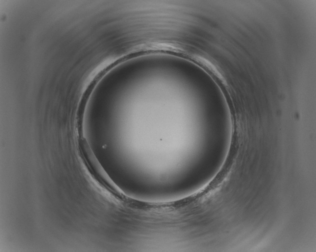 X0000076421133200610061158