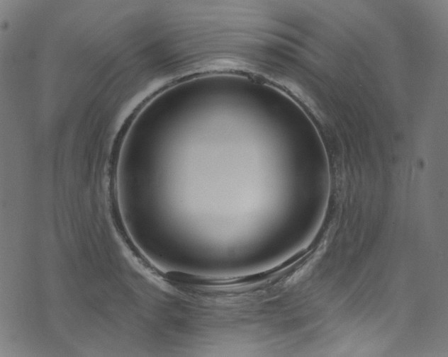 X0000076421134200610061158