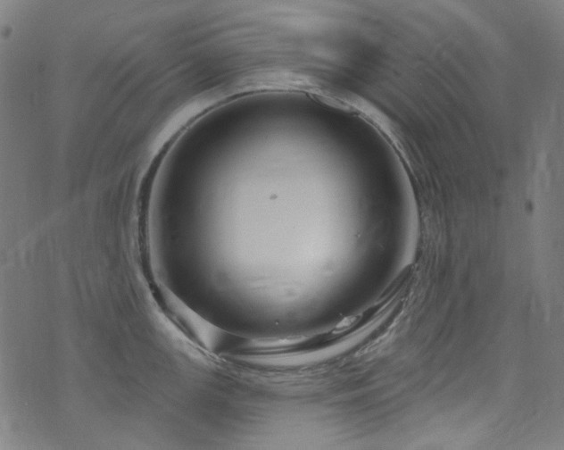 X0000076421147200610061158