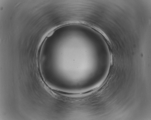 X0000076421148200610061158