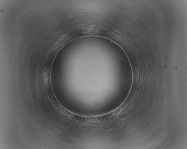 X0000076421154200610061157