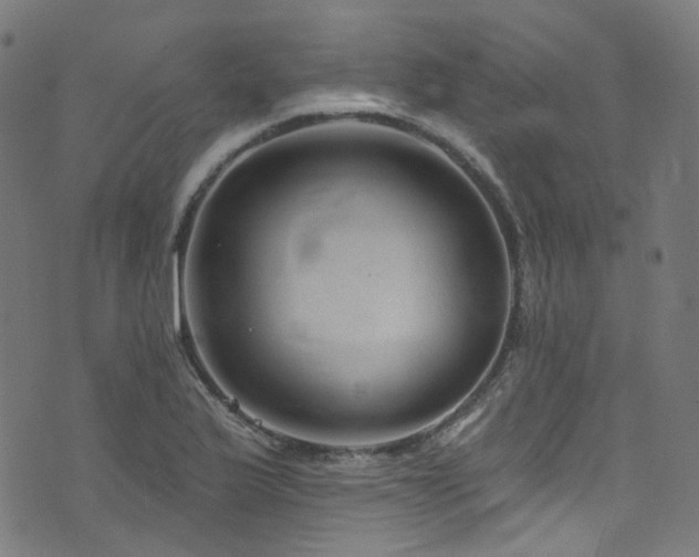 X0000076421175200610061157