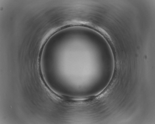 X0000076421183200610061157