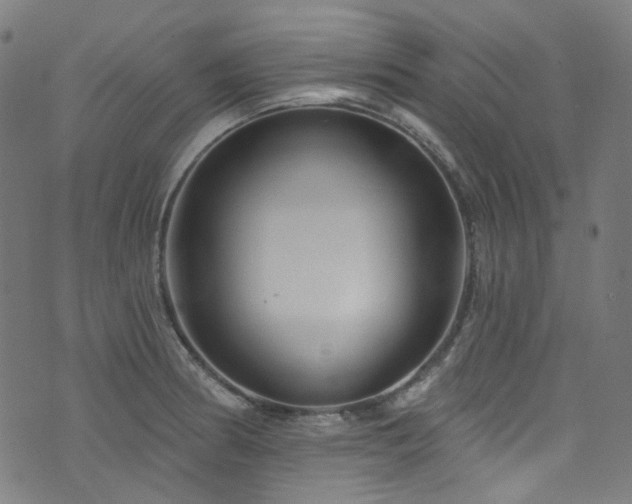 X0000076421186200610061157