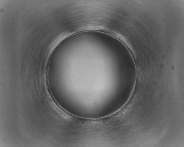 X0000076421187200610061157