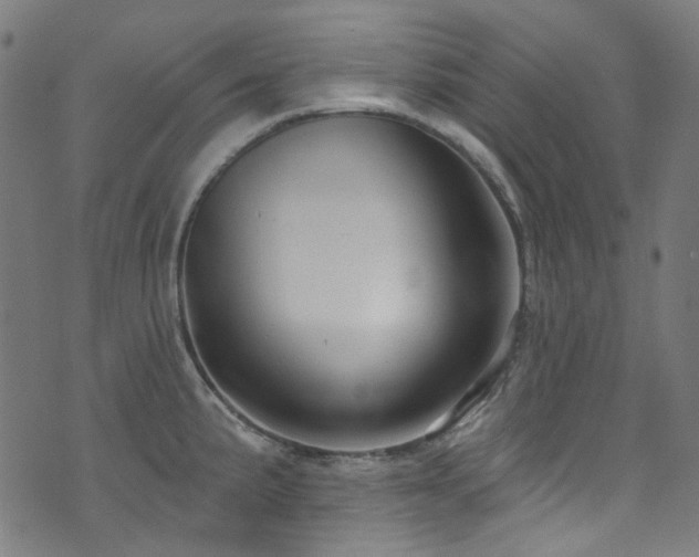 X0000076421191200610061157