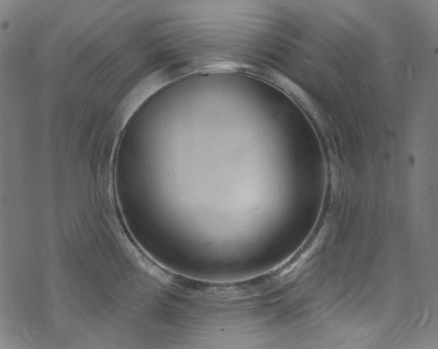X0000076421194200610061157