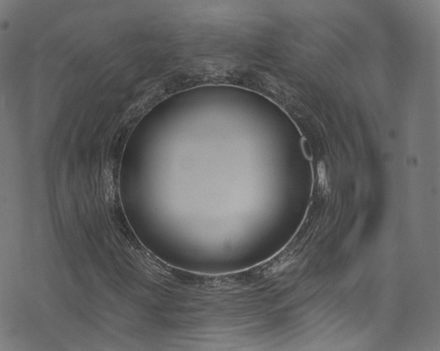 X0000076421203200610061156