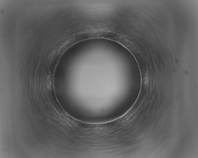 X0000076421204200610061156