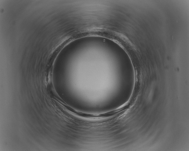 X0000076421209200610061156