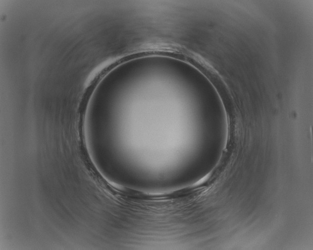 X0000076421222200610061156