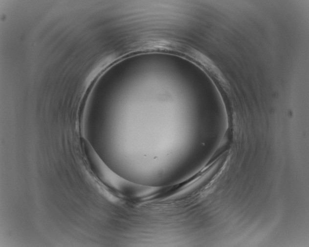 X0000076421234200610061156