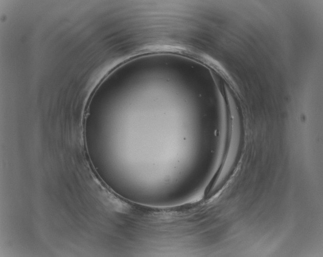 X0000076421236200610061156