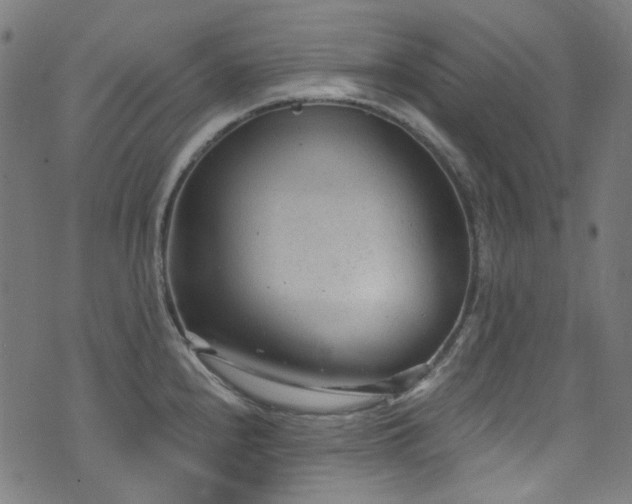 X0000076421240200610061156