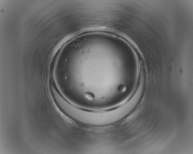 X0000076421245200610061157