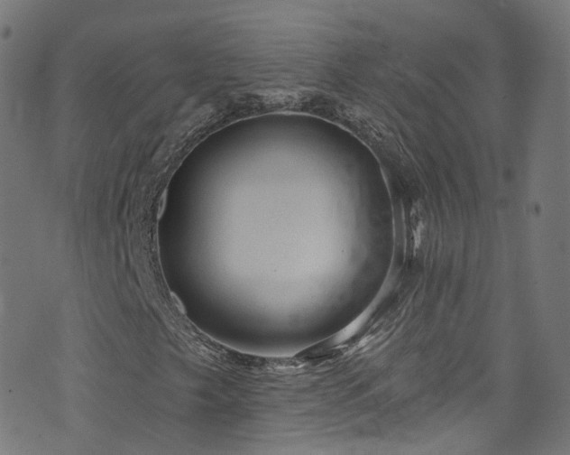 X0000076421249200610061156