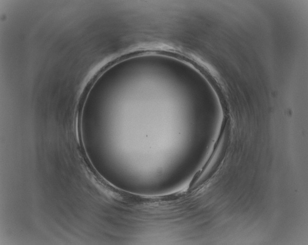 X0000076421272200610061155