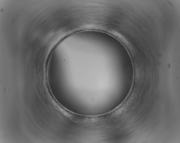 X0000076421286200610061155