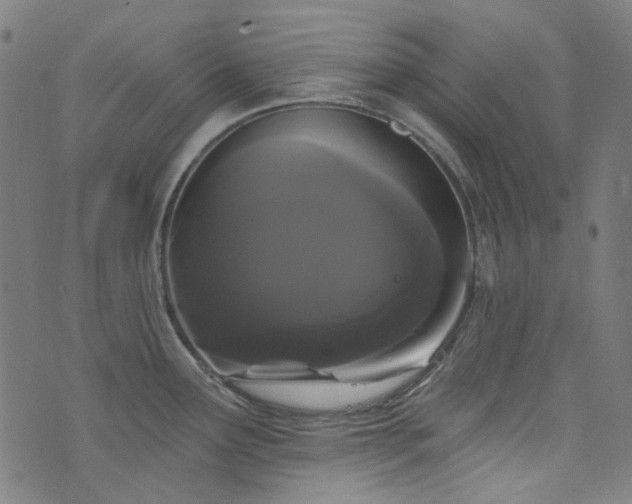X0000076421291200610061155